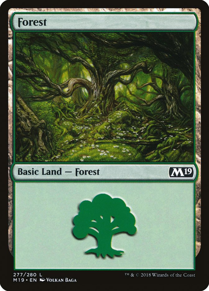 Forest - Foil