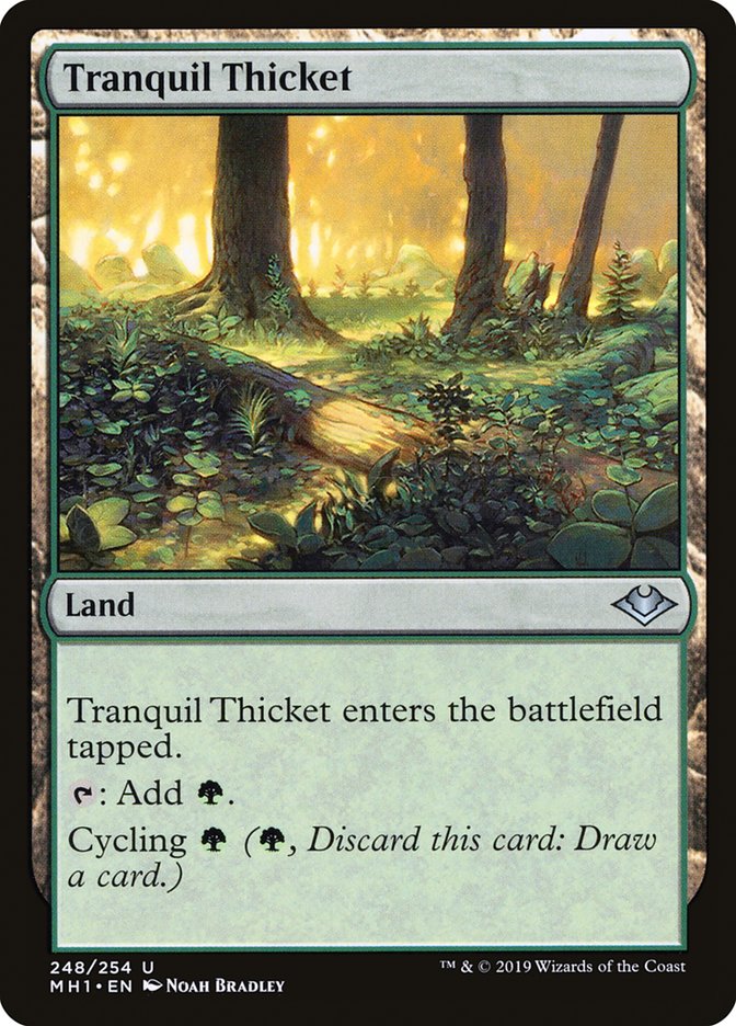 Tranquil Thicket - Foil