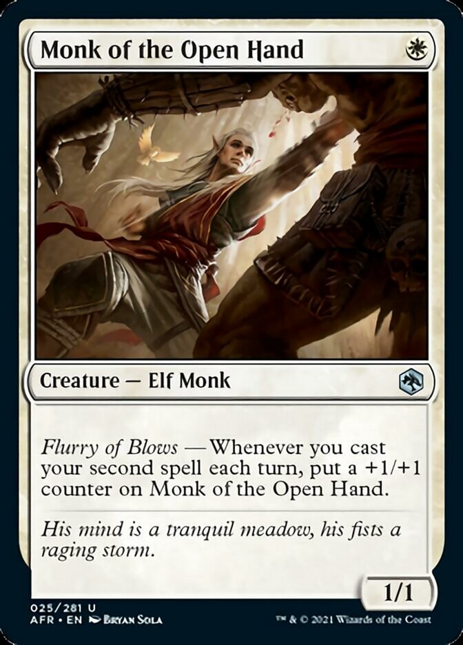 Monk of the Open Hand