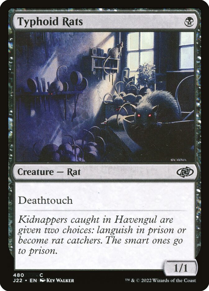 Typhoid Rats