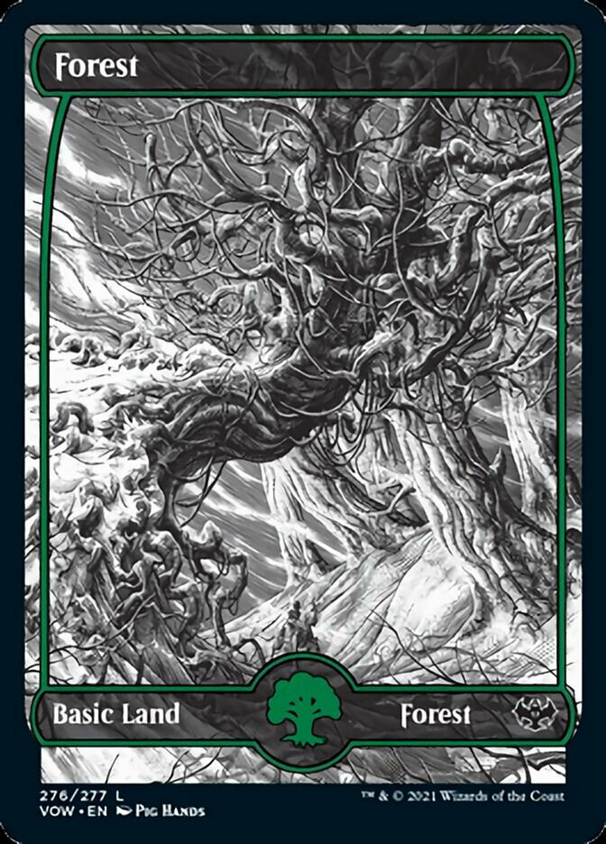 Forest - Foil